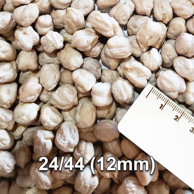 Pois chiche Mexicain 25KG
