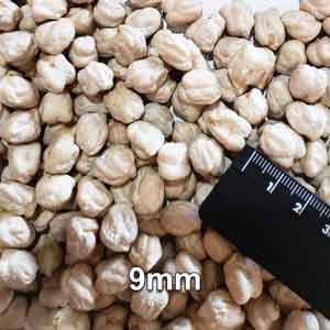 Pois Chiches (8/9mm) USA 25kg