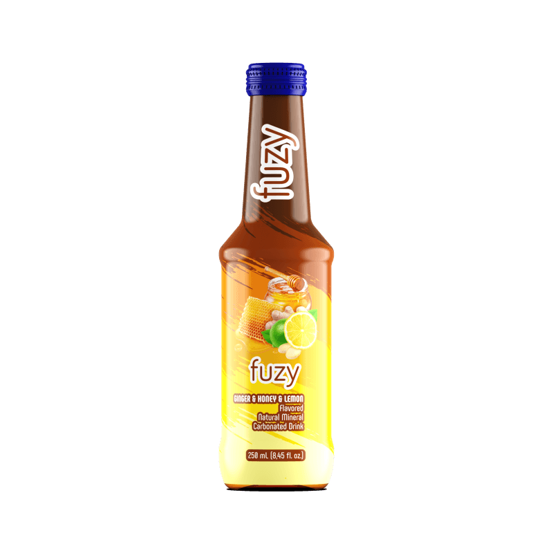 Boisson gazeuse Miel Gingembre Citron 250ml